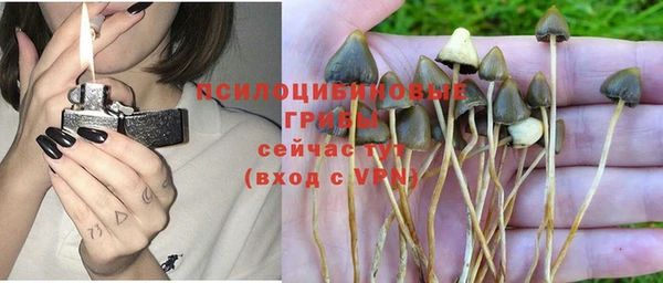 прущая мука Беломорск