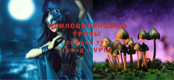 МДПВ Белокуриха